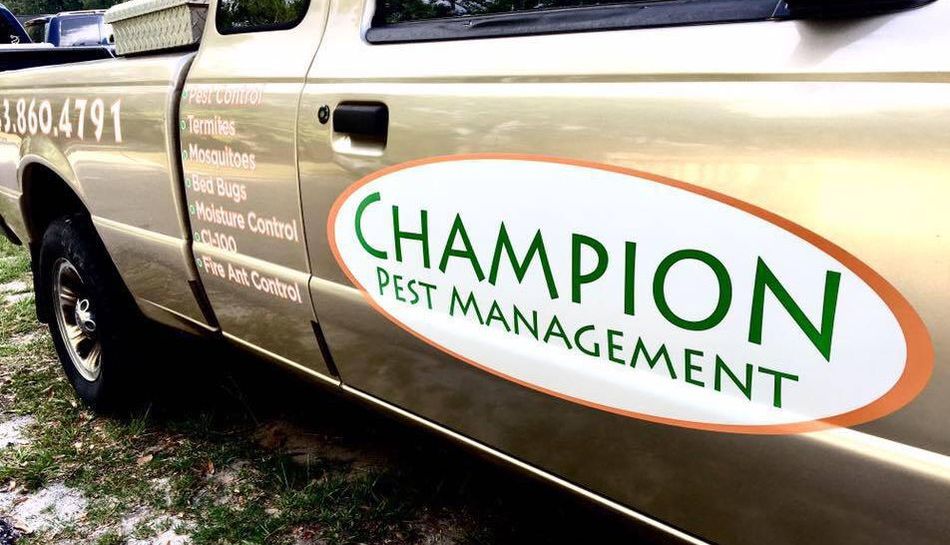 Pest Control Charleston, SC